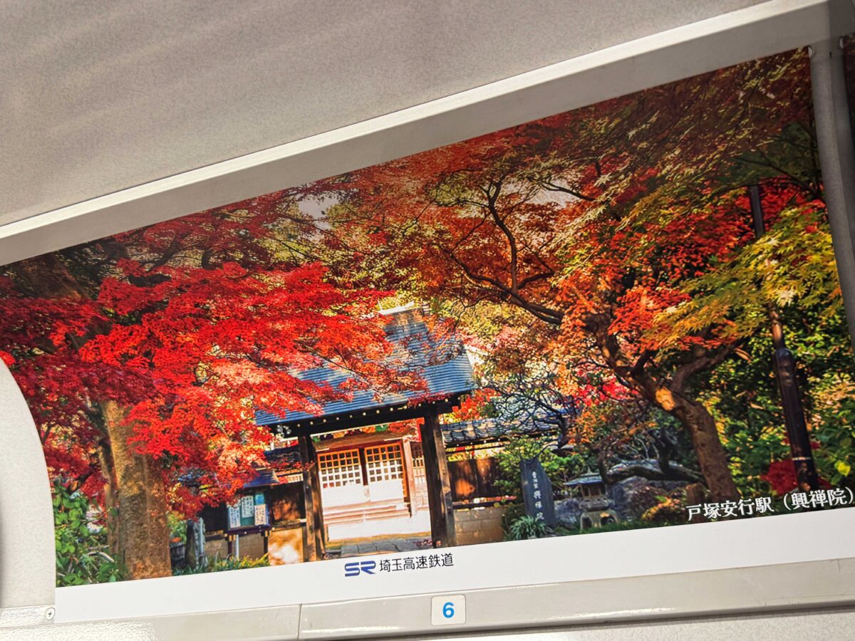 埼玉高速鉄道ラッピング電車