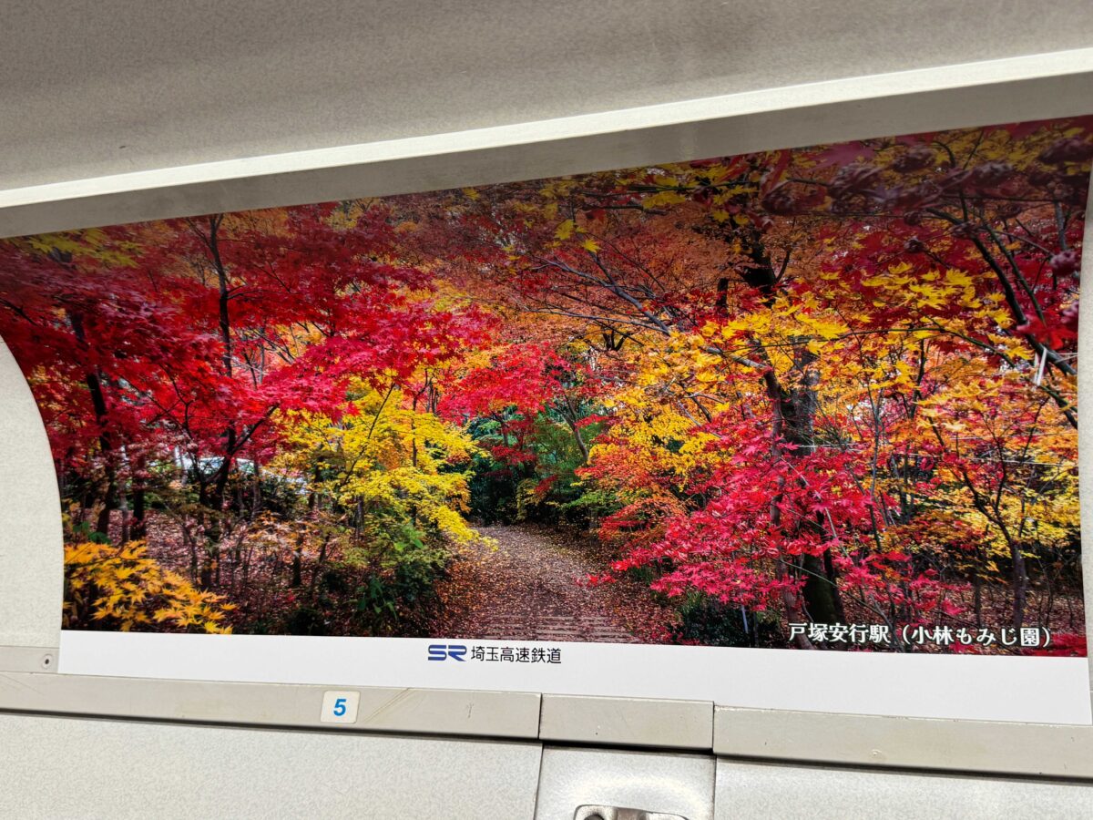 埼玉高速鉄道ラッピング電車