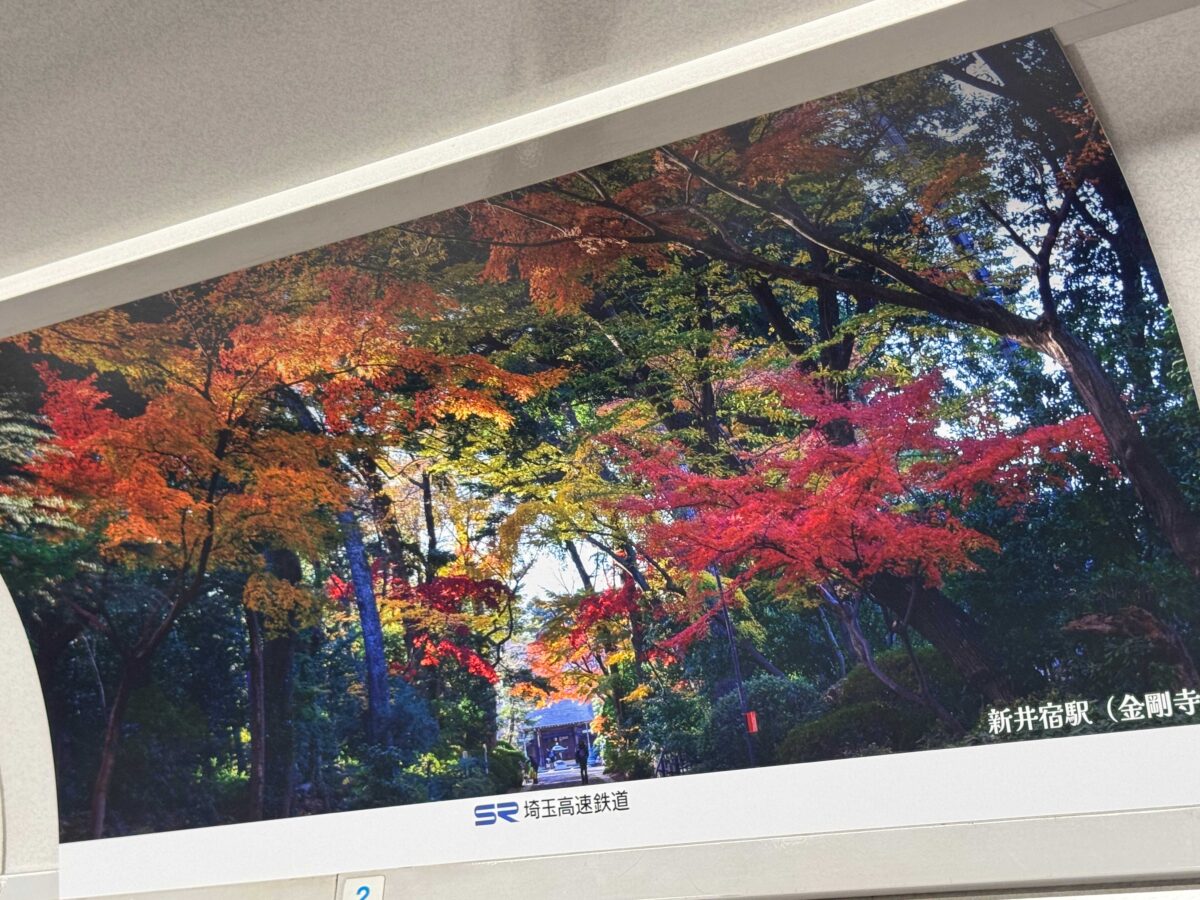 埼玉高速鉄道ラッピング電車