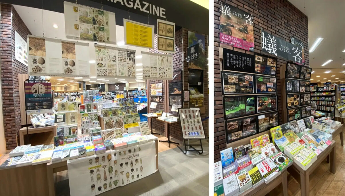 未来屋書店 イオンモール北戸田 リニューアルオープン