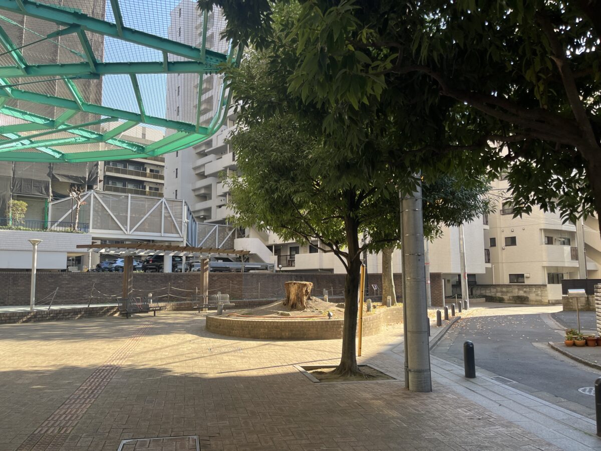 本町 鉄板焼 至