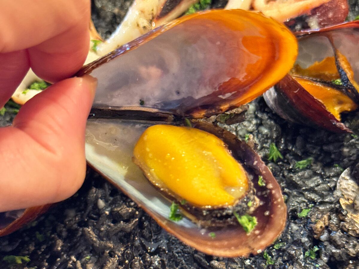 川口 Nero di Seppia