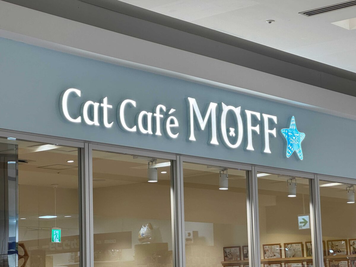 Cat Café MOFF イオンモール川口前川店