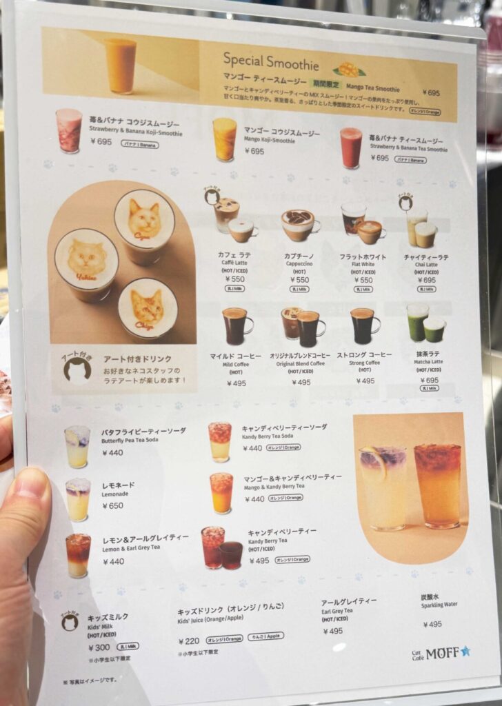 Cat Café MOFF イオンモール川口前川店