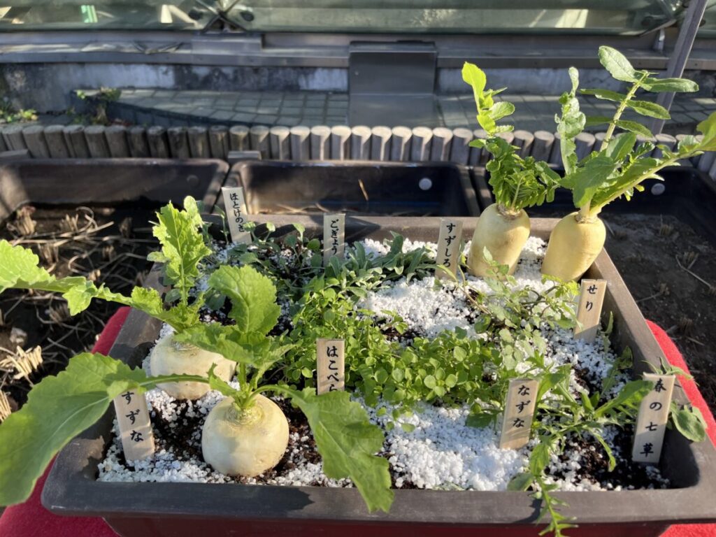 川口駅西口 光のプリズム