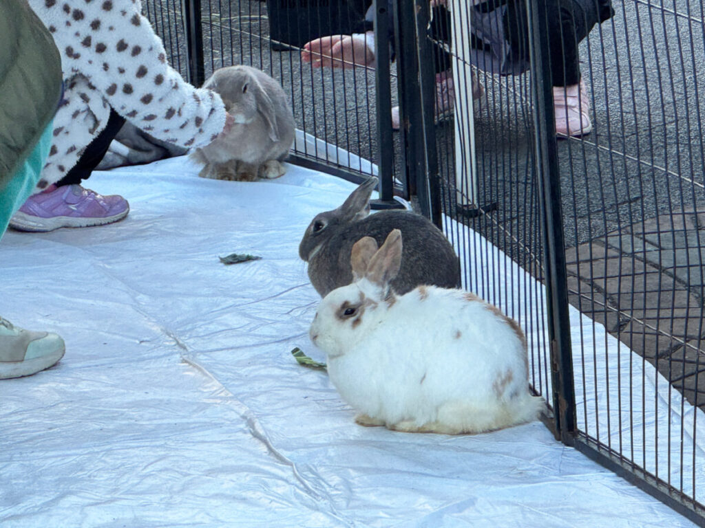 第6回 川口本気(ガチ)祭り