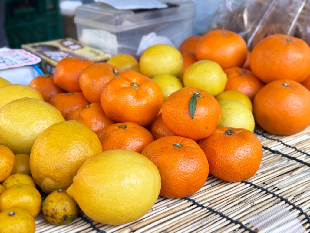 第6回 川口本気(ガチ)祭り