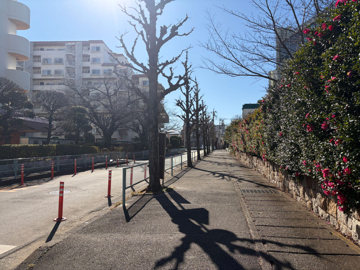 蕨 芝園分室 閉館