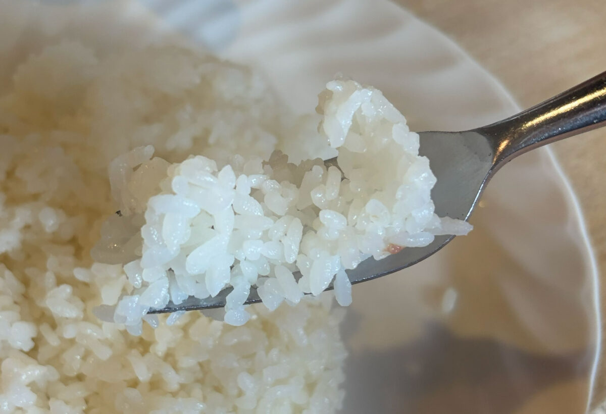 本蓮 花もえぎ ダブルハンブルグ