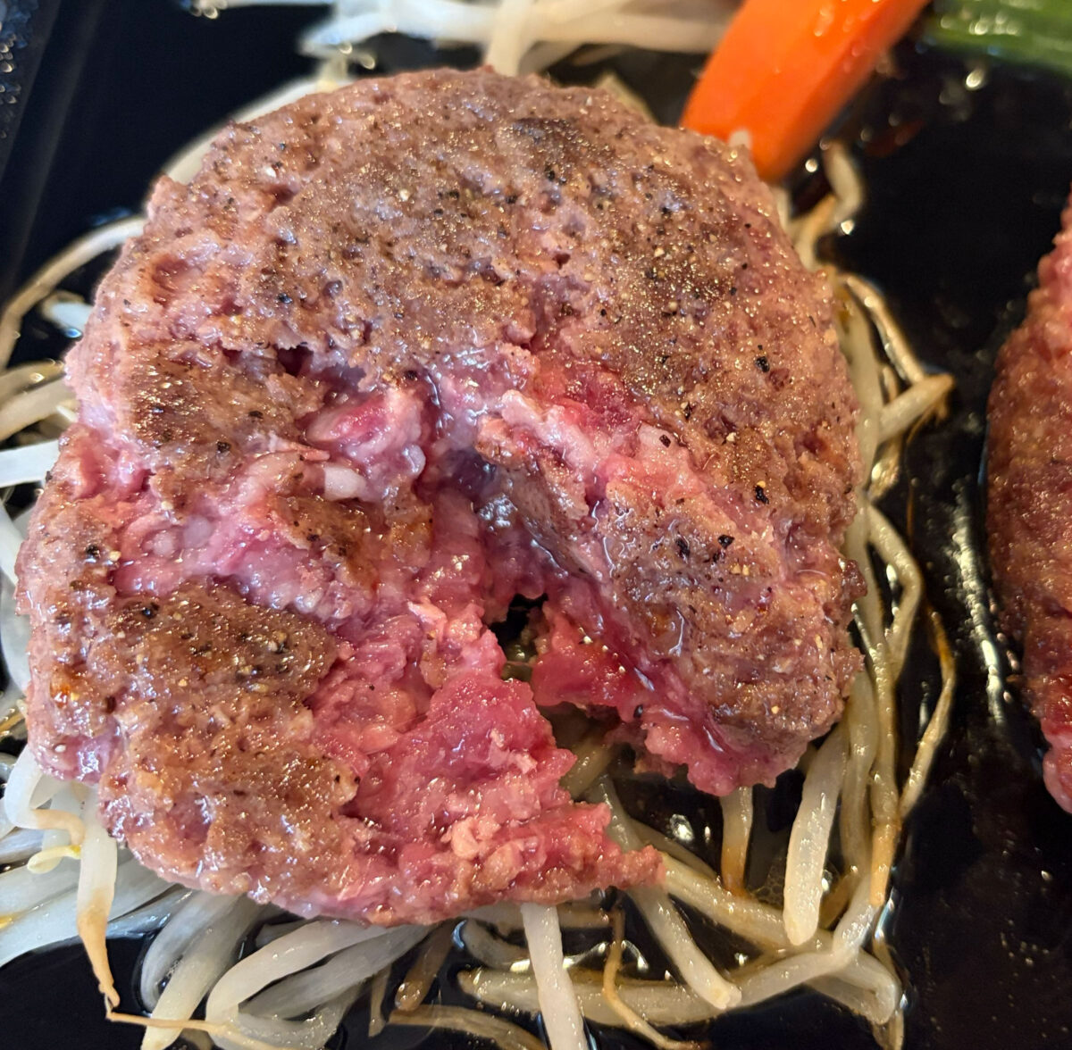 本蓮 花もえぎ ダブルハンブルグ