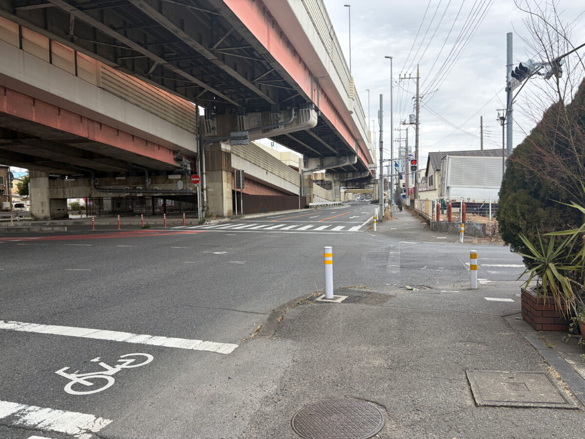 本蓮 花もえぎ ダブルハンブルグ
