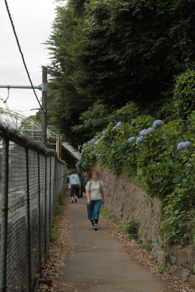 王子 飛鳥の小径