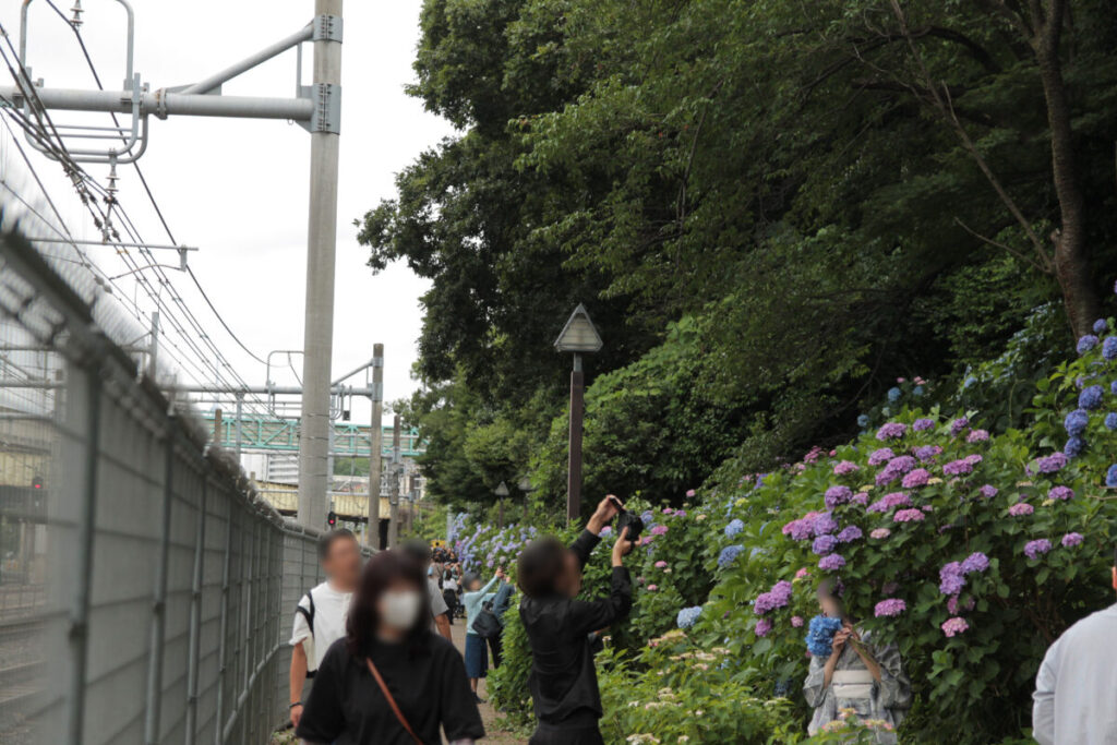 王子 飛鳥の小径